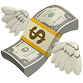 money-with-wings